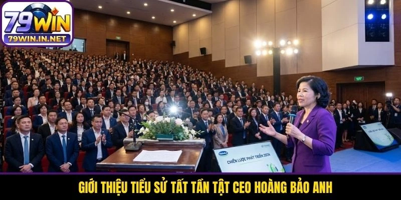 Giới thiệu tiểu sử tất tần tật CEO Hoàng Bảo Anh Giới thiệu tiểu sử tất tần tật CEO Hoàng Bảo Anh